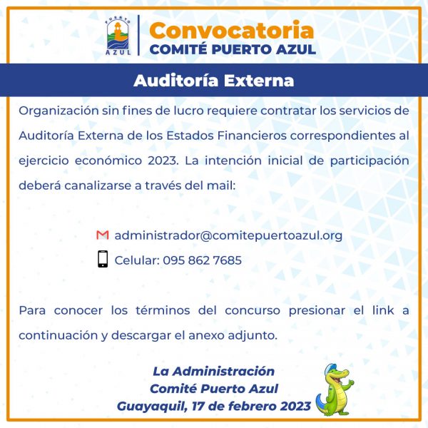 auditoriaexterna